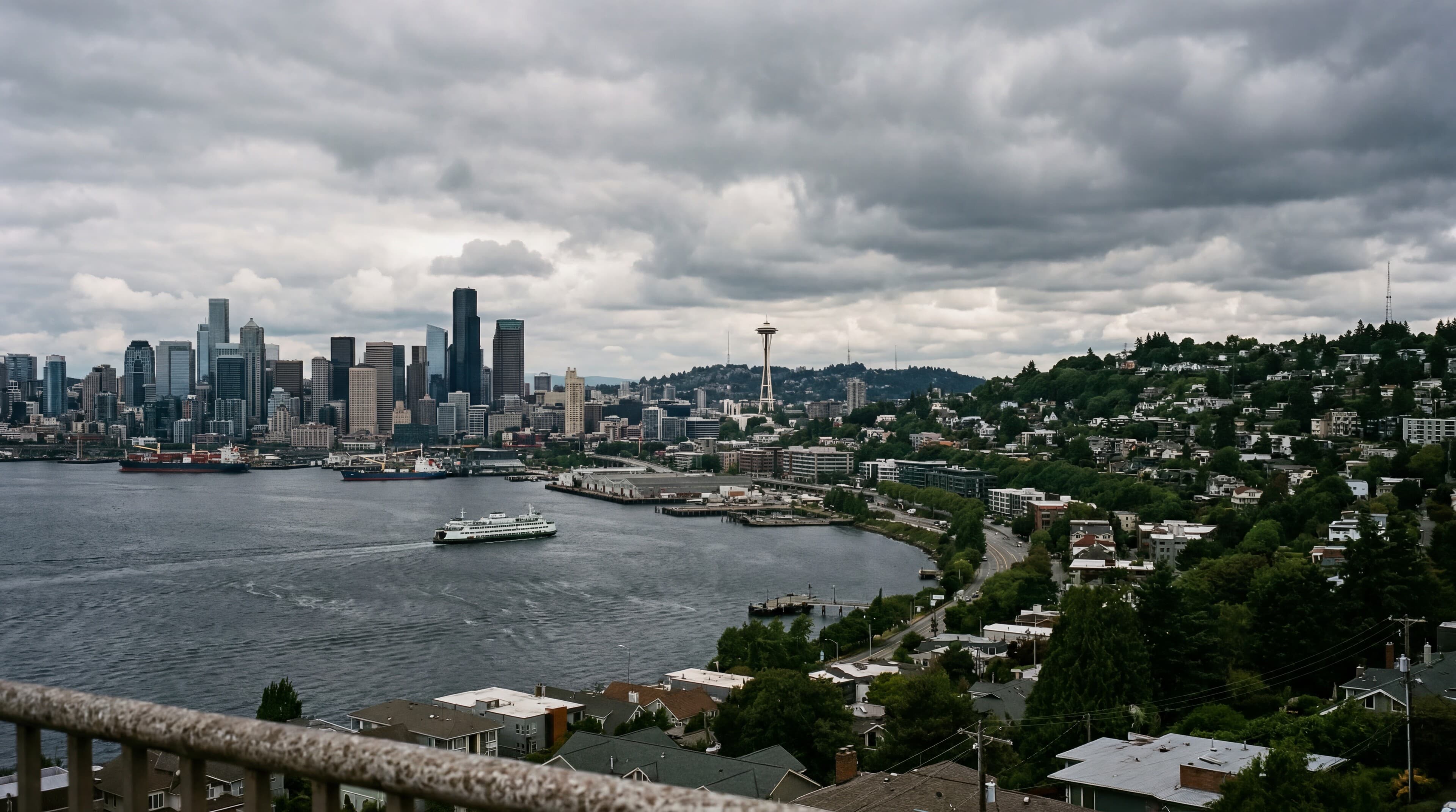 Professional movers in Seattle, WA